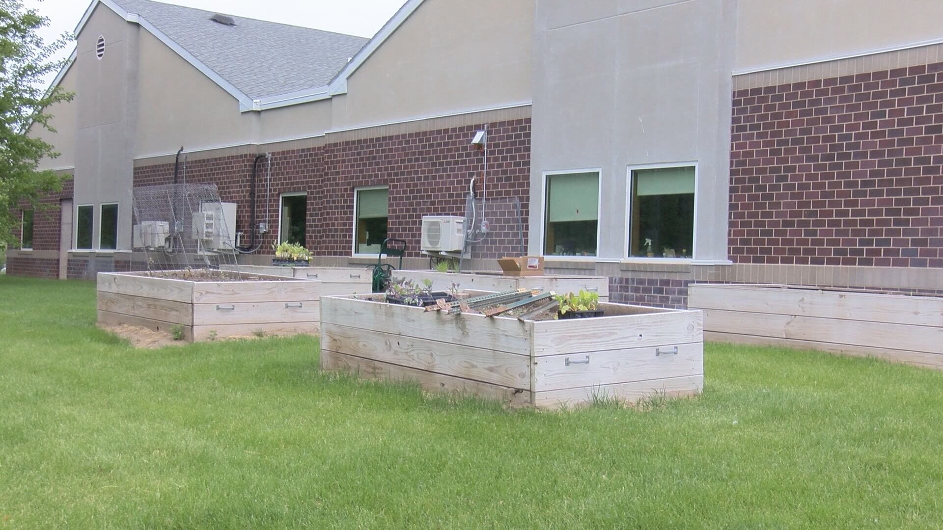 'Everybody right now is struggling' - Northeast Nebraska community gardens helping families in need - Vimarsana News
