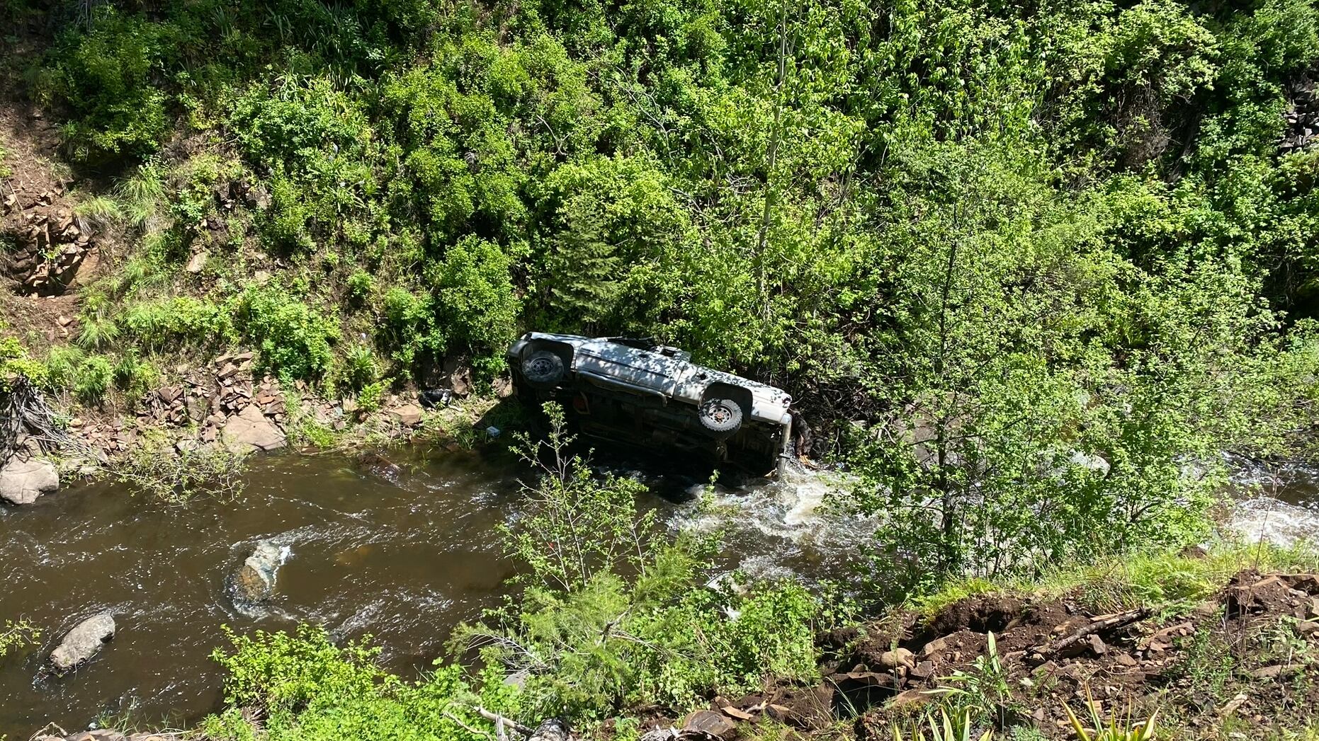 Dog runs 4 miles to get help after man crashes into ravine - Vimarsana News